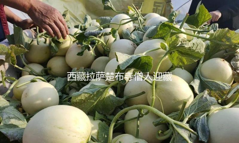 西藏拉萨楚布寺僧人迎藏历木蛇新年