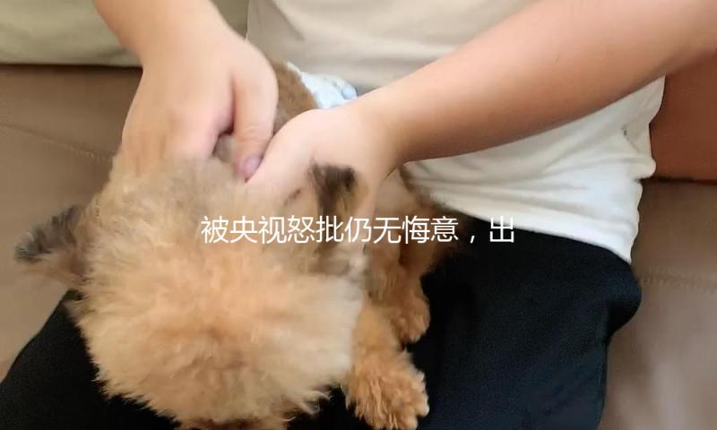 被央视怒批仍无悔意，出门十几个警卫，仅仅个戏子却把自己当大腕
