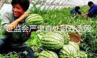 證監(jiān)會嚴(yán)肅查處財政造假案子，初次對合作造假方同步追責(zé)