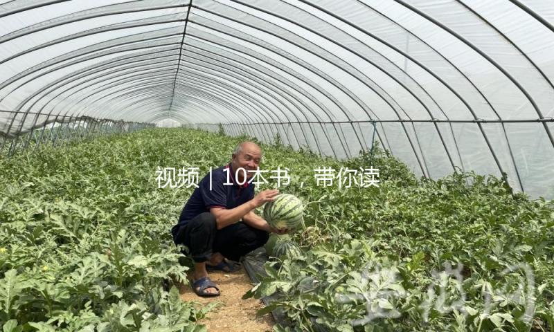视频｜10本书，带你读懂博物馆 — 新京报