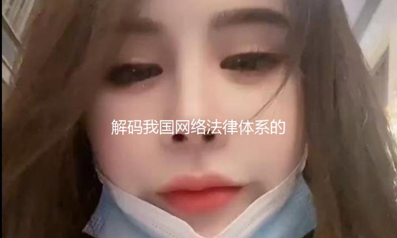 解码我国网络法律体系的管理才智