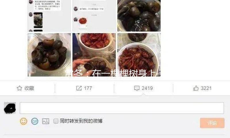 赏冬：在一棵棵树身上，领会四季流通 — 新京报