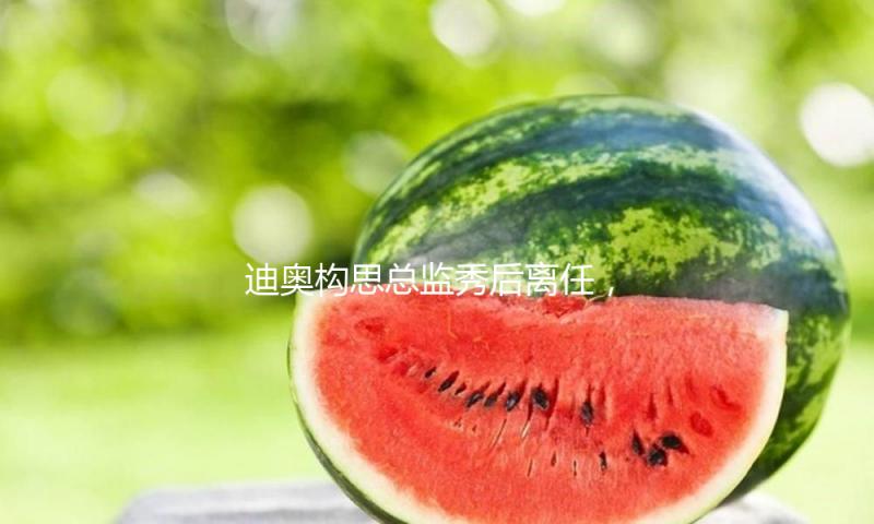 迪奥构思总监秀后离任，王曼昱时髦活动首秀