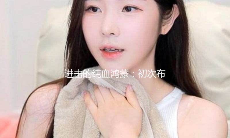 进击的纯血鸿蒙：初次布局电脑能否打破Windows“高墙” — 新京报