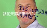 駱駝天鵝蓄電池12v45ah適配原裝五菱宏光金剛長安面包車汽車電瓶