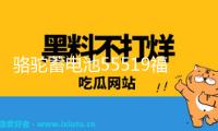 駱駝蓄電池55519福特?？怂辜文耆A馬自達3/2賽歐汽車電瓶12V55ah