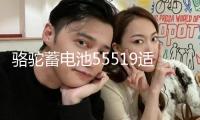 駱駝蓄電池55519適配?？怂箓黛髻悮W名爵汽車電瓶55ah 以舊換新