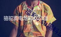 駱駝蓄電池55D23適配現(xiàn)代朗動起亞 凱越天籟60AH汽車電瓶以舊換新