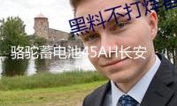 駱駝蓄電池45AH長安之星2/3東方小康K17/C37小面包車原裝汽車電瓶