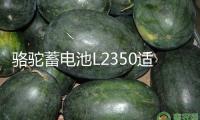 駱駝蓄電池L2350適用于東風長安悅翔睿騁逸動汽車電瓶 以舊換新