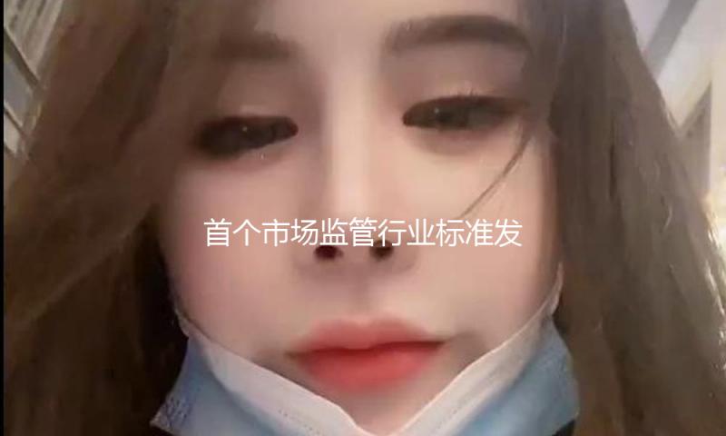 首个市场监管行业标准发布 清晰自然人网店要求 — 新京报