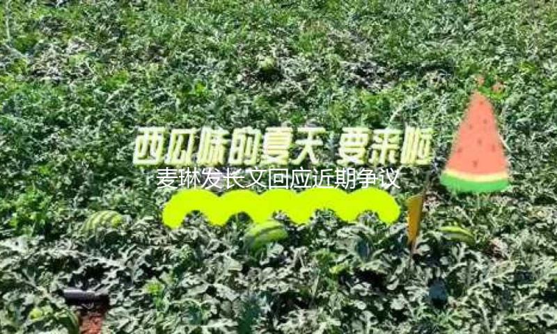 麦琳发长文回应近期争议：我心安理得，只想好好活着