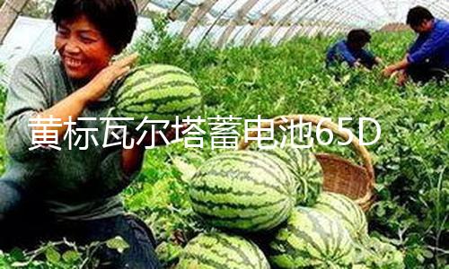 【吃瓜網最新版官網】
