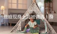 鹿晗現身上海被偶遇！身段消瘦容貌大變成了“紙片人”