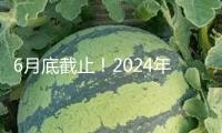 6月底截止！2024年度個(gè)稅匯算抓住辦 攻略來(lái)了→