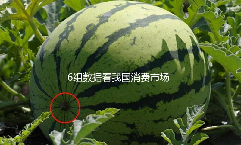 6组数据看我国消费市场耐性强、潜力大、生机足