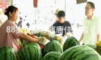 88歲香港導演唐佳墜樓身亡！現場慘烈身首異處，初判因妻病重自殺