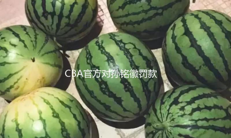 CBA官方对孙铭徽罚款3万、广厦投资人楼明停赛2场罚款5万