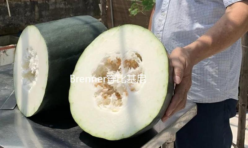 Brenner穿比基尼高雅复古 身段凹凸有致鲜艳大方