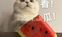 DIOR迪奧二零二五秋季女裝裁縫秀!(櫻花樹下時裝秀）