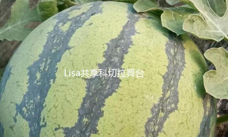 Lisa共享科切拉舞台照