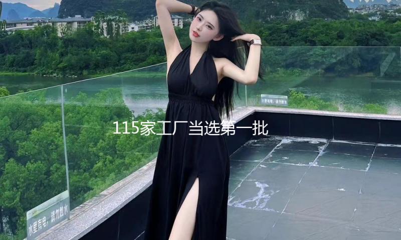 115家工厂当选第一批先进级智能工厂