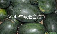 12v24v車載低音炮汽車貨車音響無線藍牙音箱220v家用大音量重低音