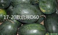 17-20款啟辰D60中網外觀專用改裝飾條前臉汽車用品配件防絮防蟲網