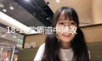 18-20款霸道中網(wǎng)改裝 普拉多中網(wǎng)飾條 亮條裝飾配件彩條專用