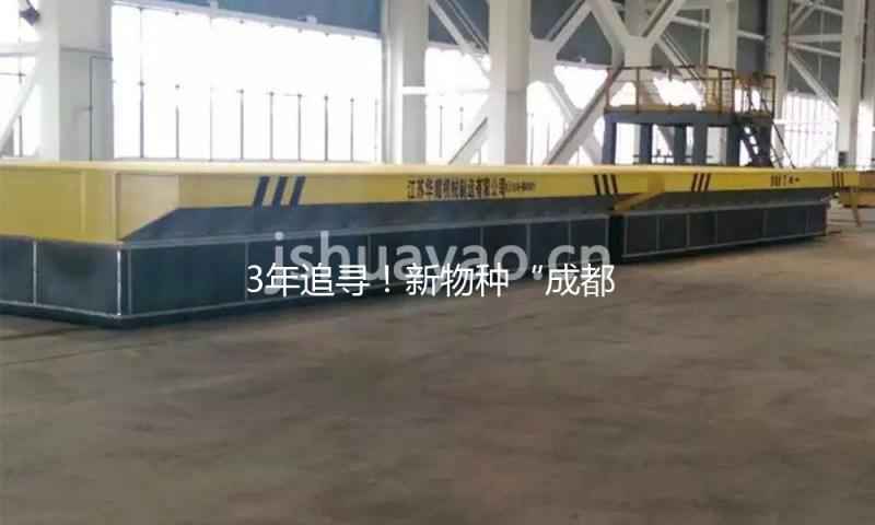 3年追寻！新物种“成都卫矛”成功“解锁”