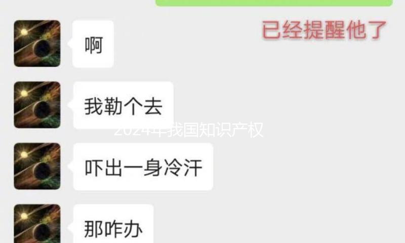 2024年我国知识产权维护情况白皮书发布