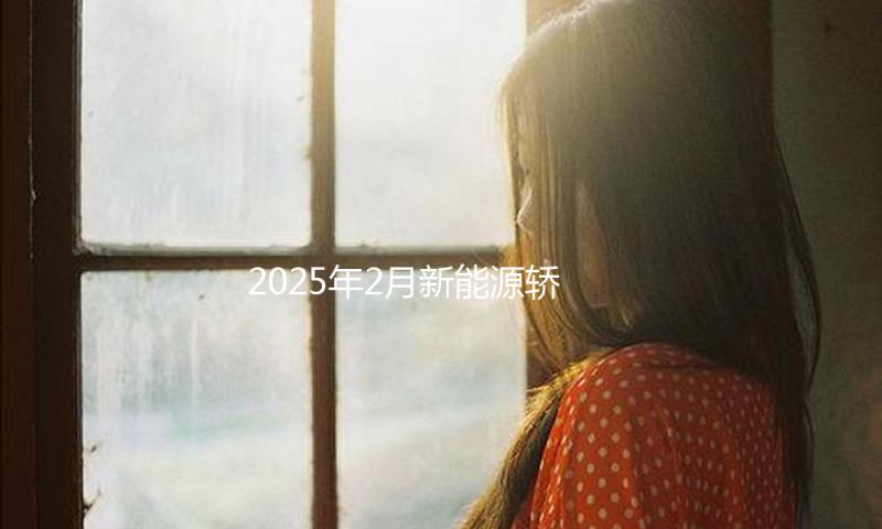 2025年2月新能源轿车厂商销量榜：小米轿车要杀入TOP10了？
