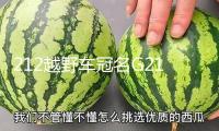 212越野車冠名G212高鐵列車 品牌跨界協(xié)作青島啟幕