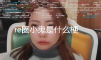 re圈小鬼是什么梗
